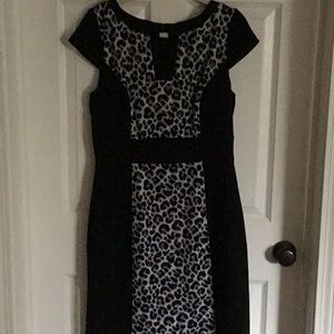Studio One sheath dress
